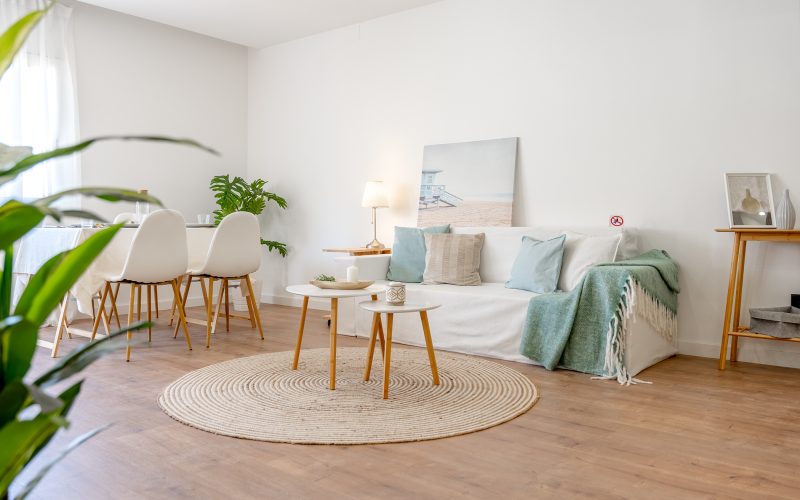 PROYECTO HOME STAGING SANT VICENÇ DELS HORTS